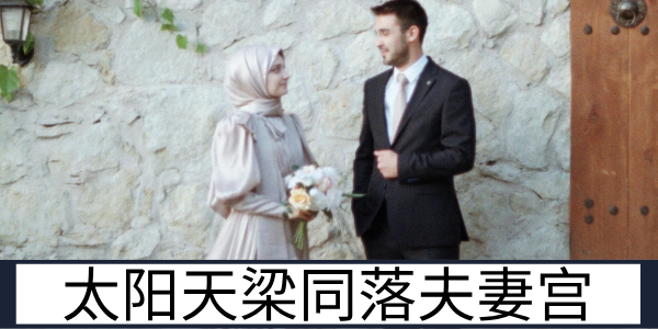 太阳天梁双星同落夫妻宫的感情特质与组合优势解读