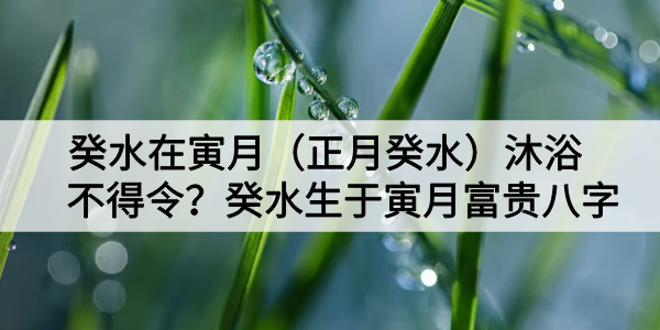 癸水在寅月（正月癸水）沐浴不得令？癸水生于寅月富贵八字