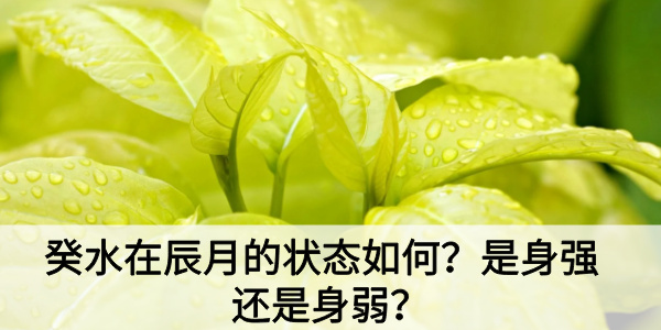 癸水在辰月的状态如何？是身强还是身弱？