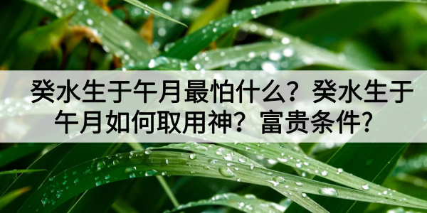 癸水生于午月最怕什么？癸水生于午月如何取用神？富贵条件?