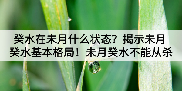 癸水在未月什么状态？揭示未月癸水基本格局！未月癸水不能从杀