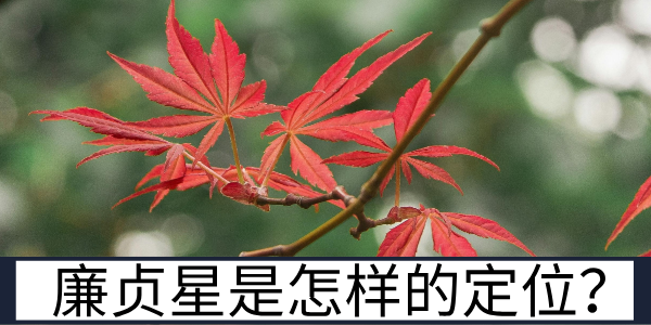 玉衡星主沉浮：廉贞星是什么样的星耀定位？