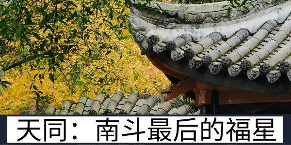 南斗最后的福星：天同星的性格是什么？