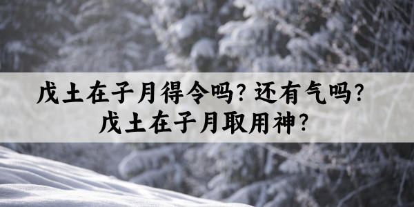 戊土在子月得令吗？还有气吗？戊土在子月取用神？