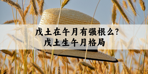 戊土在午月有强根么?戊土生午月格局