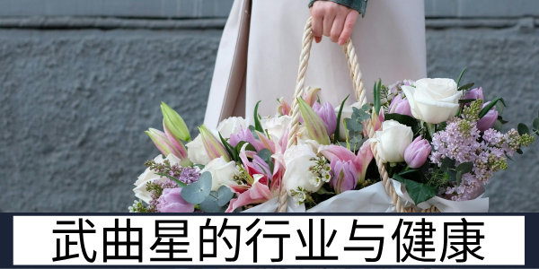 武曲星的行业与健康：五行属金的运势与身体提示