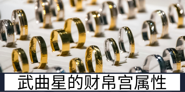 武曲星的财帛宫属性：化气为财的核心命理解读