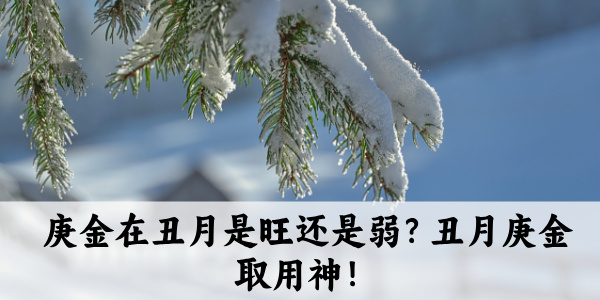 庚金在丑月是旺还是弱？丑月庚金取用神！