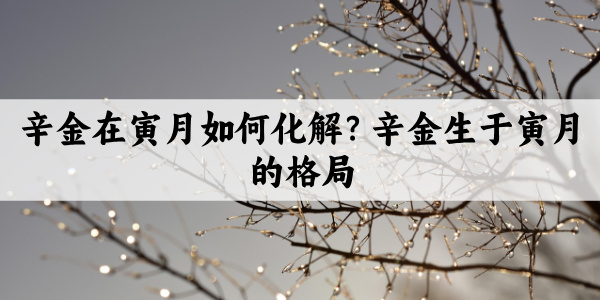 辛金在寅月如何化解？辛金生于寅月的格局
