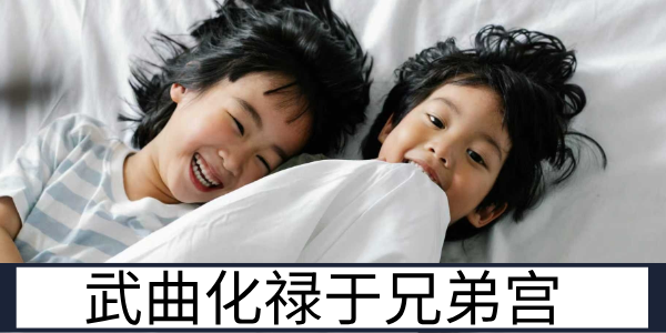 武曲化禄于兄弟宫：亲友关系的现实利益特质解读