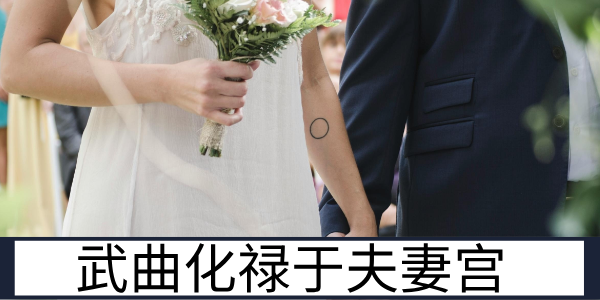 武曲化禄于夫妻宫：配偶个性与能力的命理指向解读