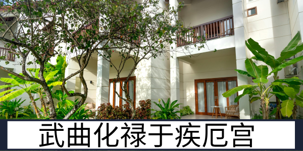 武曲化禄于疾厄宫：呼吸系统健康的命理缓解解读