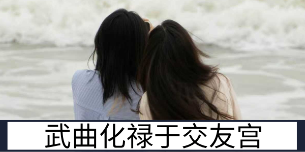 武曲化禄于交友宫：同辈人际圈的规模与运势解读