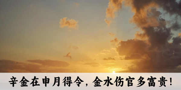 辛金在申月得令，金水伤官多富贵！