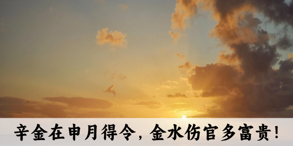 辛金在申月得令，金水伤官多富贵！