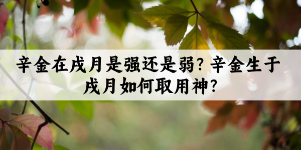 辛金在戌月是强还是弱？辛金生于戌月如何取用神?