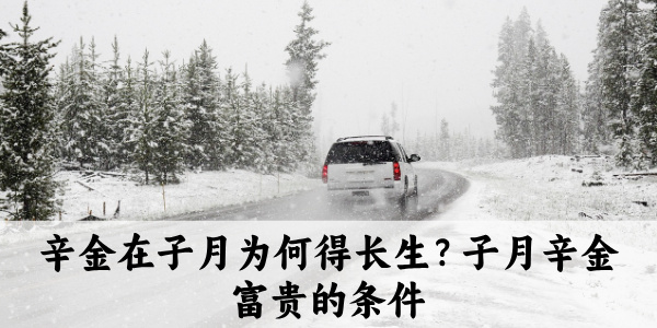 辛金在子月为何得长生？子月辛金富贵的条件