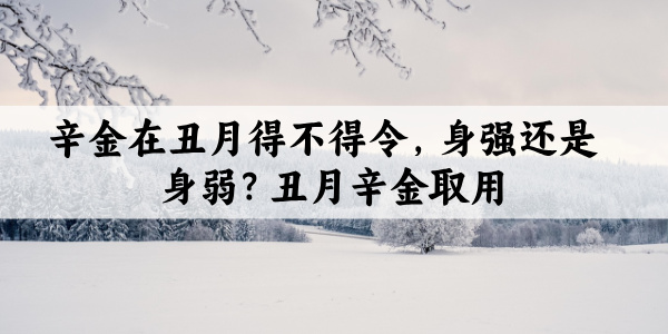辛金在丑月得不得令，身强还是身弱？丑月辛金取用