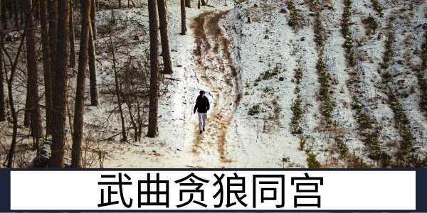 武曲贪狼同宫：创意多端的双星组合特质解读