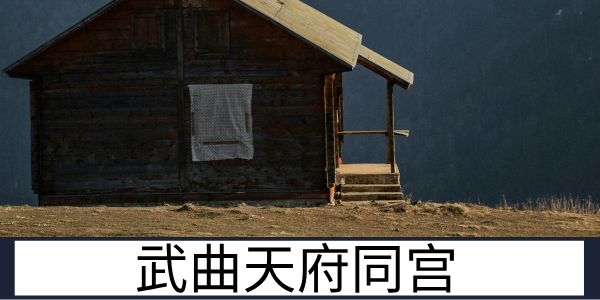 武曲天府同宫：勇敢果断的双星组合