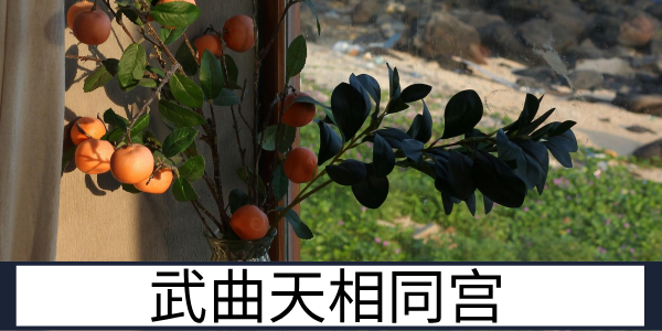 武曲天相同宫：沉着理智的双星组合特质解读