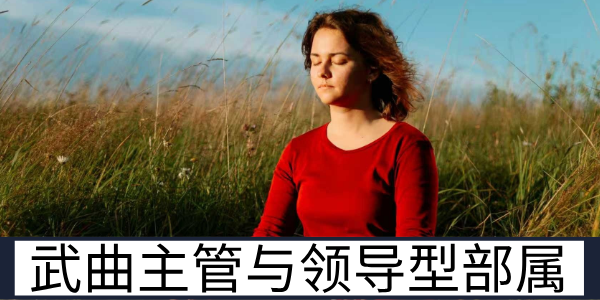 武曲主管与领导型部属：同性相斥的管理相处之道