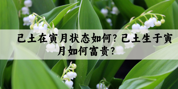 己土在寅月状态如何？己土生于寅月如何富贵？