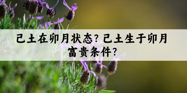 己土在卯月状态？己土生于卯月富贵条件？