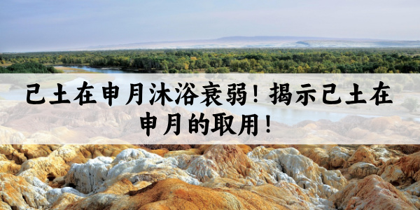 己土在申月沐浴衰弱！揭示己土在申月的取用！