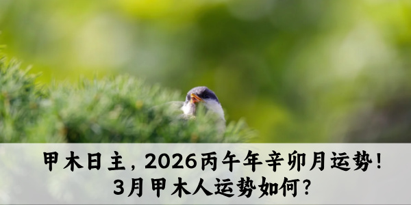 甲木日主，2026丙午年辛卯月运势！3月甲木人运势如何？