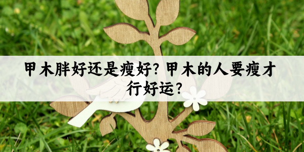 甲木胖瘦喜忌，甲木为什么越瘦越好？