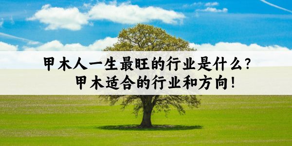 甲木人一生最旺的行业是什么？甲木适合的行业和方向！