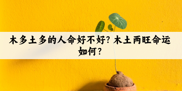 木多土多的人命好不好？木土两旺命运如何？
