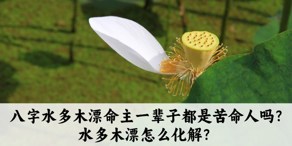 八字水多木漂命主一辈子都是苦命人吗？水多木漂怎么化解？