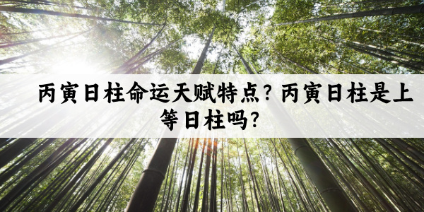丙寅日柱命运天赋特点？丙寅日柱是上等日柱吗？