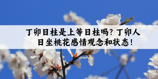 丁卯日柱是上等日柱吗？丁卯人日坐桃花感情观念和状态！