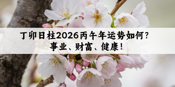 丁卯日柱2026丙午年运势如何？事业、财富、情感、健康！