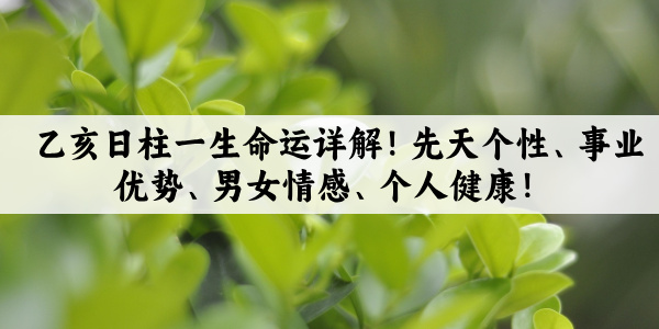 乙亥日柱一生命运详解！先天个性、事业优势、男女情感、个人健康！