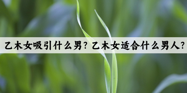 乙木女吸引什么男？乙木女适合什么男人？