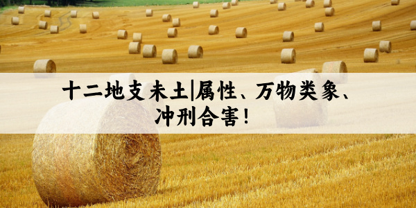 十二地支未土|属性、万物类象、冲刑合害！