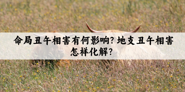 命局丑午相害有何影响？地支丑午相害怎样化解？